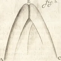 Picture 30 of 74 from Continuatio epistolarum, datarum ad longè celeberrimam Regiam Societatem Londinensem (1696), leaf 198