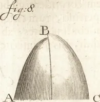Picture 32 of 74 from Continuatio epistolarum, datarum ad longè celeberrimam Regiam Societatem Londinensem (1696), leaf 199