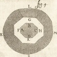 An illustration from Continuatio epistolarum, datarum ad longè celeberrimam Regiam Societatem Londinensem (1696)