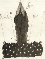 Picture 43 of 74 from Continuatio epistolarum, datarum ad longè celeberrimam Regiam Societatem Londinensem (1696), leaf 225