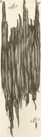 Picture 49 of 74 from Continuatio epistolarum, datarum ad longè celeberrimam Regiam Societatem Londinensem (1696), leaf 259