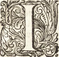 An illustration from Continuatio epistolarum, datarum ad longè celeberrimam Regiam Societatem Londinensem (1696)