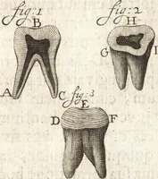 Picture 1 of 74 from Continuatio epistolarum, datarum ad longè celeberrimam Regiam Societatem Londinensem (1696), leaf 6