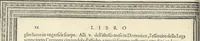 An illustration from Cremona fedelissima citta et nobilissima colonia de Romani : rappresentata in disegno col svo contado et illvstrata d'vna breve historia delle cose piv notabili appartenenti ad essa et de i ritratti natvrali de dvchi et dvchesse di Milano e compendio delle lor vite (1585)
