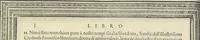 An illustration from Cremona fedelissima citta et nobilissima colonia de Romani : rappresentata in disegno col svo contado et illvstrata d'vna breve historia delle cose piv notabili appartenenti ad essa et de i ritratti natvrali de dvchi et dvchesse di Milano e compendio delle lor vite (1585)