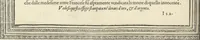 An illustration from Cremona fedelissima citta et nobilissima colonia de Romani : rappresentata in disegno col svo contado et illvstrata d'vna breve historia delle cose piv notabili appartenenti ad essa et de i ritratti natvrali de dvchi et dvchesse di Milano e compendio delle lor vite (1585)