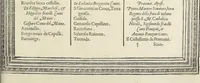 An illustration from Cremona fedelissima citta et nobilissima colonia de Romani : rappresentata in disegno col svo contado et illvstrata d'vna breve historia delle cose piv notabili appartenenti ad essa et de i ritratti natvrali de dvchi et dvchesse di Milano e compendio delle lor vite (1585)