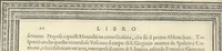 An illustration from Cremona fedelissima citta et nobilissima colonia de Romani : rappresentata in disegno col svo contado et illvstrata d'vna breve historia delle cose piv notabili appartenenti ad essa et de i ritratti natvrali de dvchi et dvchesse di Milano e compendio delle lor vite (1585)