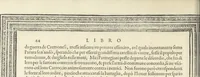 An illustration from Cremona fedelissima citta et nobilissima colonia de Romani : rappresentata in disegno col svo contado et illvstrata d'vna breve historia delle cose piv notabili appartenenti ad essa et de i ritratti natvrali de dvchi et dvchesse di Milano e compendio delle lor vite (1585)
