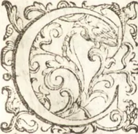 An illustration from Cronica istoriale di Tremiti (1606)