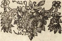 An illustration from C. Stalpartii vander Wiel medici Hagiensis Observationum rariorum medic. anatomic. chirurgicarum centuria prior : accedit De unicornu dissertatio : utraque tertia parte auctior, longeque emendatior (1687)