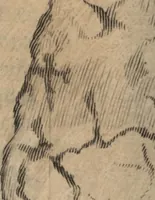 An illustration from C. Stalpartii vander Wiel medici Hagiensis Observationum rariorum medic. anatomic. chirurgicarum centuria prior : accedit De unicornu dissertatio : utraque tertia parte auctior, longeque emendatior (1687)