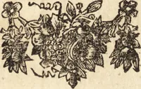 An illustration from C. Stalpartii vander Wiel medici Hagiensis Observationum rariorum medic. anatomic. chirurgicarum centuria prior : accedit De unicornu dissertatio : utraque tertia parte auctior, longeque emendatior (1687)
