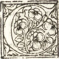 An illustration from Della forma delle mvse : cavata da gli antichi avtori greci et latini : opera vtilissima à pittori & scoltori (1591)