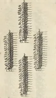 An illustration from De militia equestri antiqua et noua ad regem Philippum IV libri quinque (1630)