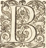 Picture 18 of 95 from Descriptionis Ptolemaicae augmentum, siue, Occidentis notitia : breui commentario illustrata, et hac secunda editione magna sui parte aucta (1603), leaf 132