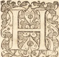 Picture 25 of 95 from Descriptionis Ptolemaicae augmentum, siue, Occidentis notitia : breui commentario illustrata, et hac secunda editione magna sui parte aucta (1603), leaf 156
