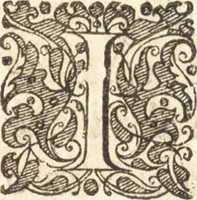 Picture 31 of 95 from Descriptionis Ptolemaicae augmentum, siue, Occidentis notitia : breui commentario illustrata, et hac secunda editione magna sui parte aucta (1603), leaf 166
