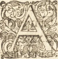 Picture 40 of 95 from Descriptionis Ptolemaicae augmentum, siue, Occidentis notitia : breui commentario illustrata, et hac secunda editione magna sui parte aucta (1603), leaf 181