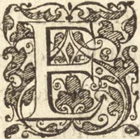 Picture 49 of 95 from Descriptionis Ptolemaicae augmentum, siue, Occidentis notitia : breui commentario illustrata, et hac secunda editione magna sui parte aucta (1603), leaf 199