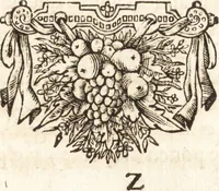 Picture 17 of 86 from El devoto peregrino y viage de Tierra Santa (1664), leaf 206