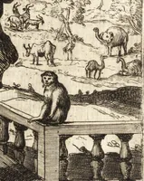 Picture 12 of 16 from Dialogos de la pintvra : sv defensa, origen, esse[n]cia, definicion, modos y diferencias (1633), leaf 238