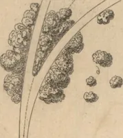 An illustration from Etude sur l'architecture des jardins (1875)