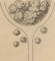 An illustration from Etude sur l'architecture des jardins (1875)
