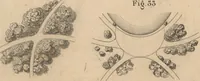 An illustration from Etude sur l'architecture des jardins (1875)