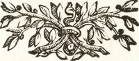An illustration from Felsina pittrice : vite de pittori bolognesi (1678)