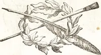 Picture 23 of 99 from Felsina pittrice : vite de pittori bolognesi (1678), leaf 154