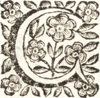 Picture 26 of 99 from Felsina pittrice : vite de pittori bolognesi (1678), leaf 157
