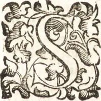 Picture 33 of 99 from Felsina pittrice : vite de pittori bolognesi (1678), leaf 188
