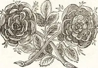 An illustration from Felsina pittrice : vite de pittori bolognesi (1678)