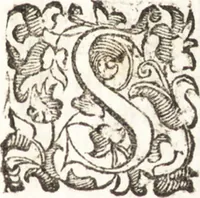 Picture 55 of 99 from Felsina pittrice : vite de pittori bolognesi (1678), leaf 320