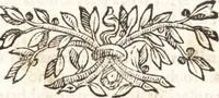 An illustration from Felsina pittrice : vite de pittori bolognesi (1678)