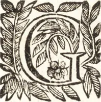 Picture 71 of 99 from Felsina pittrice : vite de pittori bolognesi (1678), leaf 432