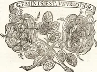 Picture 89 of 99 from Felsina pittrice : vite de pittori bolognesi (1678), leaf 555