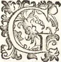 Picture 19 of 49 from Felsina pittrice : vite de pittori bolognesi (1678), leaf 166