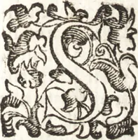 Picture 25 of 49 from Felsina pittrice : vite de pittori bolognesi (1678), leaf 232
