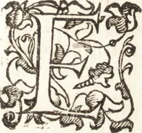 Picture 30 of 49 from Felsina pittrice : vite de pittori bolognesi (1678), leaf 306