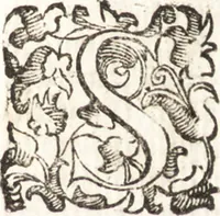 Picture 35 of 49 from Felsina pittrice : vite de pittori bolognesi (1678), leaf 354