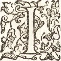 Picture 37 of 49 from Felsina pittrice : vite de pittori bolognesi (1678), leaf 368
