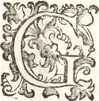 Picture 42 of 49 from Felsina pittrice : vite de pittori bolognesi (1678), leaf 398