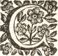 Picture 48 of 49 from Felsina pittrice : vite de pittori bolognesi (1678), leaf 474