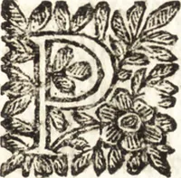 An illustration from Le finezze de pennelli italiani, ammirate e studiate da Girupeno sotta la scorta e disciplina del genio di Raffaello d'Vrbino : con vna curiosa ed' attentissima osseruatione di tutto ciò che facilmente possa riuscire d'vtile e di diletto à chi desidera rendersi perfetto nella teorica e practica della nobil'arte della pittura (1674)