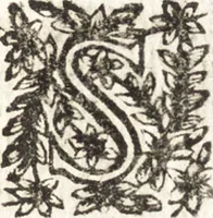 An illustration from Le finezze de pennelli italiani, ammirate e studiate da Girupeno sotta la scorta e disciplina del genio di Raffaello d'Vrbino : con vna curiosa ed' attentissima osseruatione di tutto ciò che facilmente possa riuscire d'vtile e di diletto à chi desidera rendersi perfetto nella teorica e practica della nobil'arte della pittura (1674)