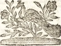 An illustration from Le finezze de pennelli italiani, ammirate e studiate da Girupeno sotta la scorta e disciplina del genio di Raffaello d'Vrbino : con vna curiosa ed' attentissima osseruatione di tutto ciò che facilmente possa riuscire d'vtile e di diletto à chi desidera rendersi perfetto nella teorica e practica della nobil'arte della pittura (1674)