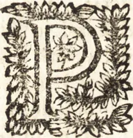 An illustration from Le finezze de pennelli italiani, ammirate e studiate da Girupeno sotta la scorta e disciplina del genio di Raffaello d'Vrbino : con vna curiosa ed' attentissima osseruatione di tutto ciò che facilmente possa riuscire d'vtile e di diletto à chi desidera rendersi perfetto nella teorica e practica della nobil'arte della pittura (1674)
