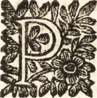 Picture 23 of 67 from Le finezze de pennelli italiani, ammirate e studiate da Girupeno sotta la scorta e disciplina del genio di Raffaello d'Vrbino : con vna curiosa ed' attentissima osseruatione di tutto ciò che facilmente possa riuscire d'vtile e di diletto à chi desidera rendersi perfetto nella teorica e practica della nobil'arte della pittura (1674), leaf 43